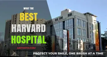 Exploring Excellence: A Guide to Harvard's Top Hospitals