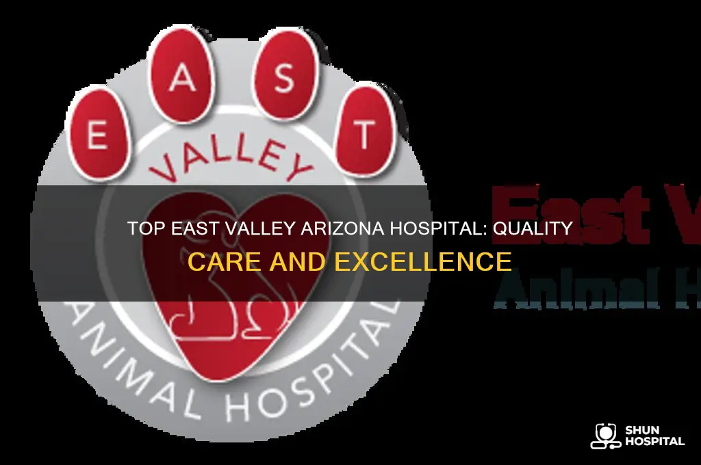 what the best hospital in the east valley arizona