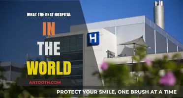 World's Top Hospitals: Where and Why?