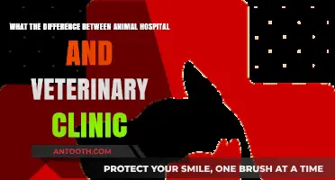 Animal Hospital vs. Vet Clinic: Key Differences Explained