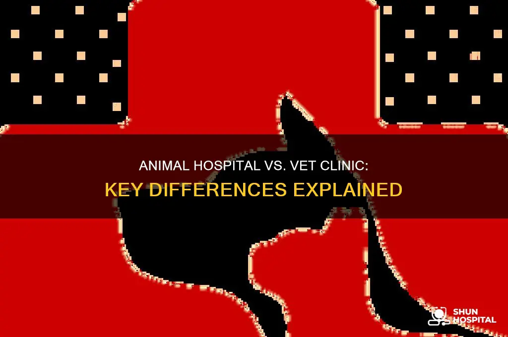 what the difference between animal hospital and veterinary clinic