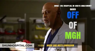 Grey's Anatomy's Hospital Inspiration: The MGH Connection Revealed