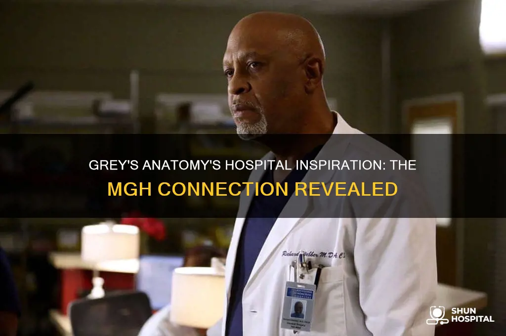 what the hospital in greys anatommy based off of mgh