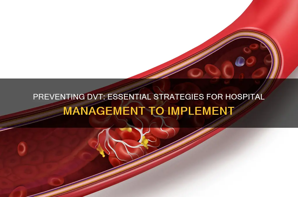 what the hospital management should do to prevent dvt