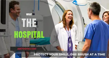 Exploring the Depths of Healthcare: What the Hospital?