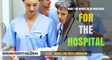 Essential Hospital Nursing Practices: Roles, Responsibilities, and Patient Care Strategies