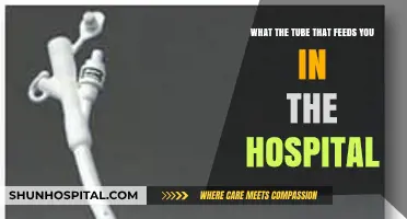 Understanding Hospital Feeding Tubes: Types, Uses, and Patient Care Essentials