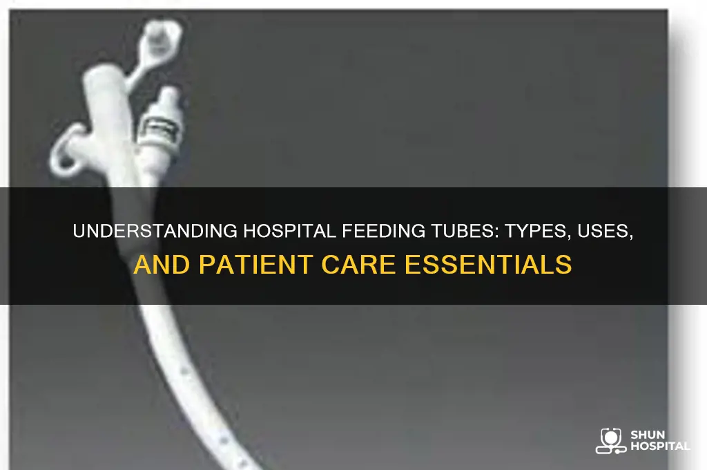 what the tube that feeds you in the hospital