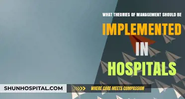 Effective Hospital Management: Key Theories to Implement for Optimal Care