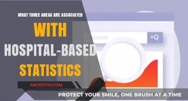 Key Areas in Hospital-Based Statistics: Insights and Applications