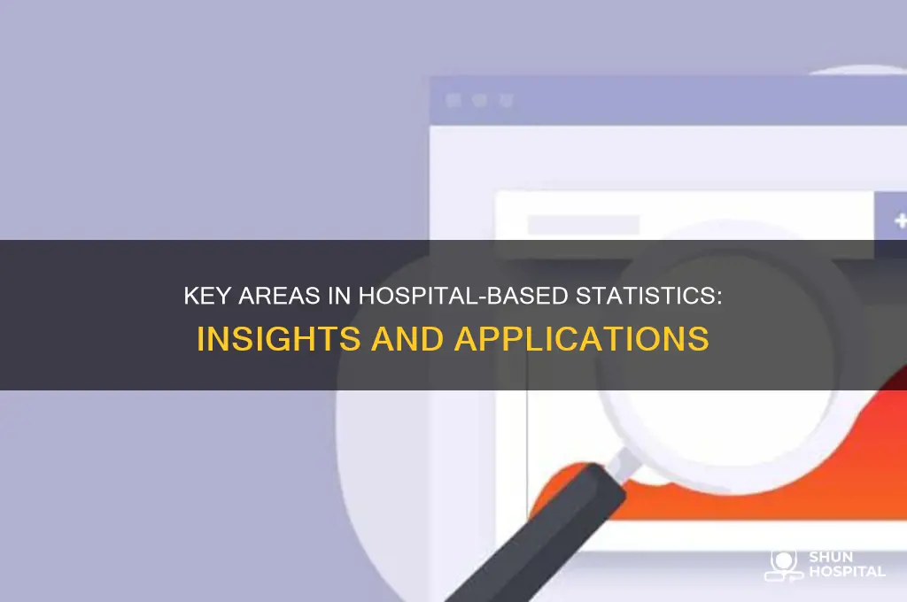 what three areas are associated with hospital-based statistics