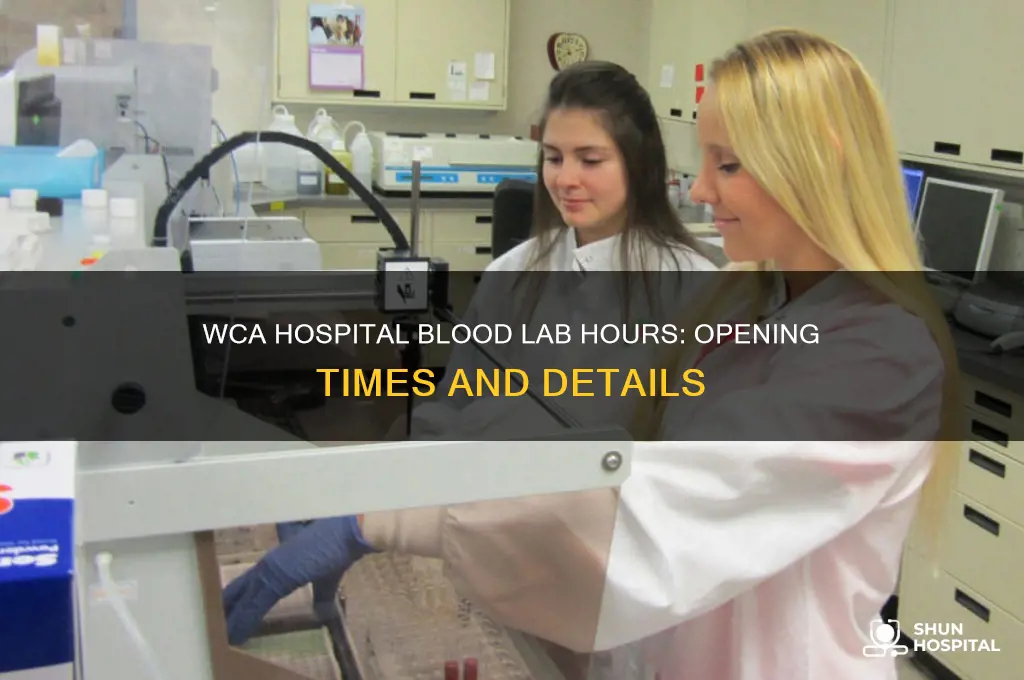 what time does blood lab open at wca hospital