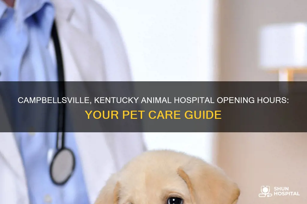 what time does the animal hospital open campbellsville kentucky