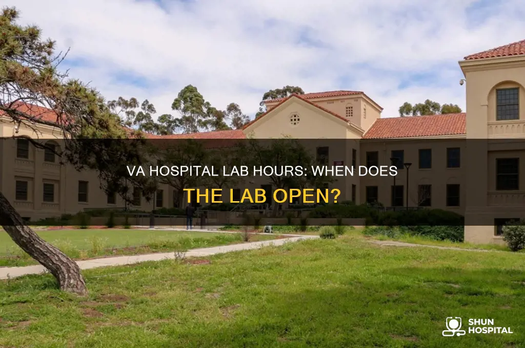 what time does the lab open at the va hospital