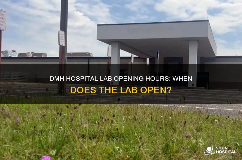 what time does the lab open in dmh hospital
