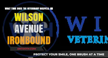 Wilson Avenue Ironbound Veterinary Hospital Hours: When to Visit