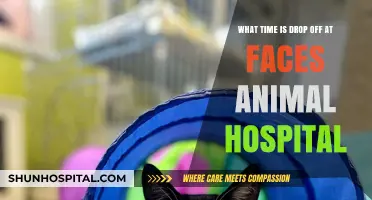 Drop-Off Times at Faces Animal Hospital: What You Need to Know