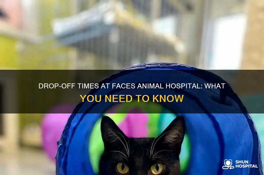what time is drop off at faces animal hospital