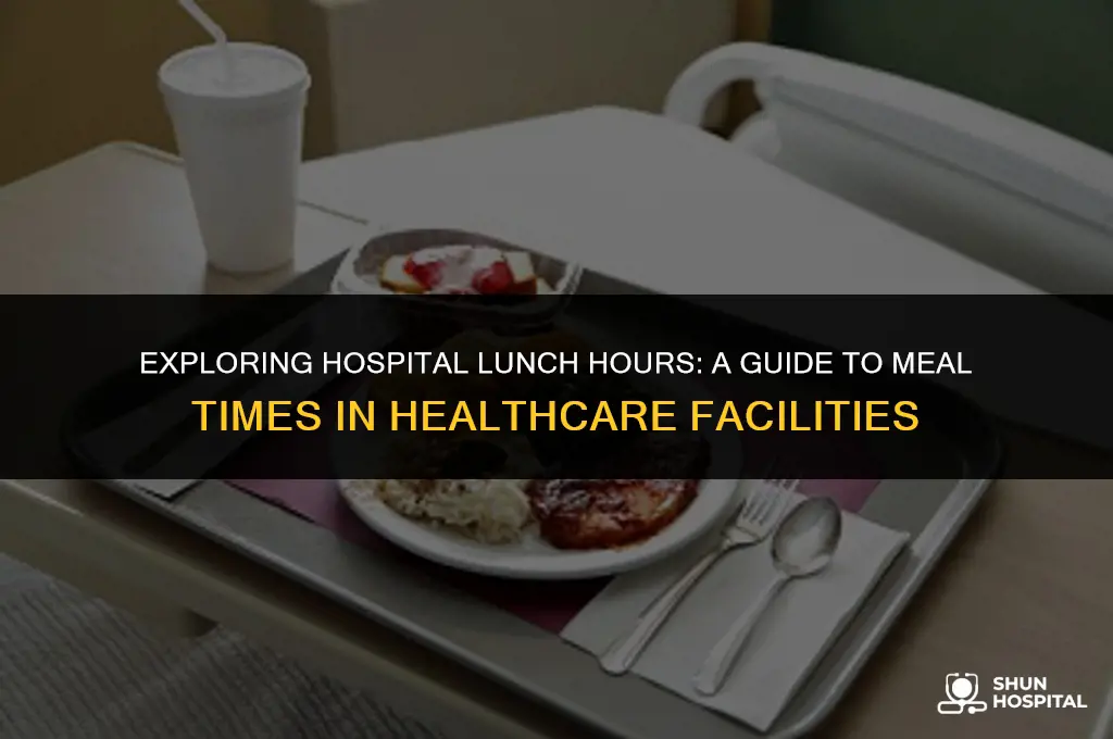 what time is hospital lunch