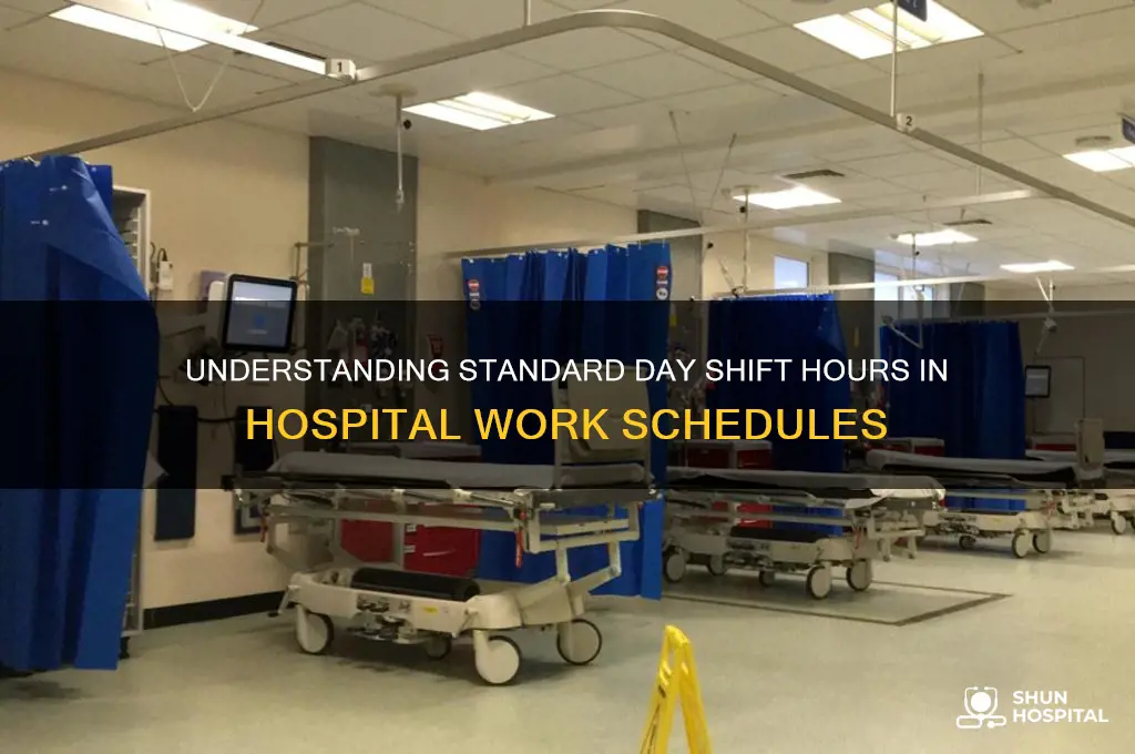 what time normal is day shift at a hospital over
