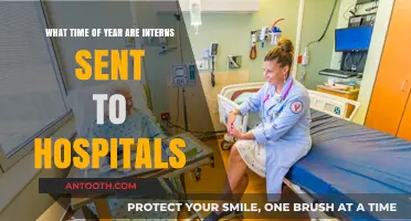 When Do Interns Begin Hospital Rotations? A Seasonal Guide