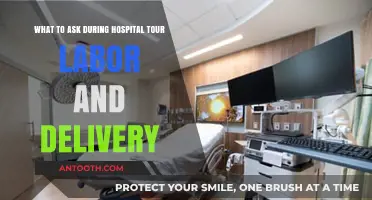 Essential Questions for Your Hospital Tour: Labor and Delivery Insights