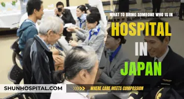 Thoughtful Hospital Gifts: Essential Items to Bring in Japan