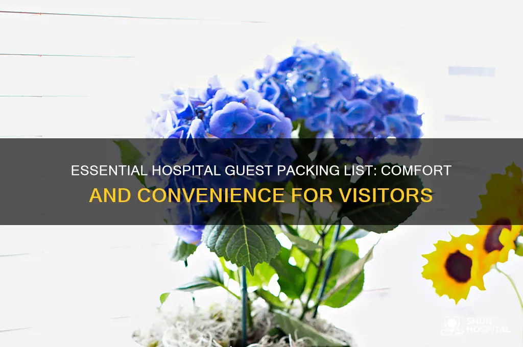 what to bring to a hospital guest