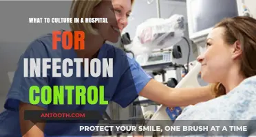 Cultivating a Safe Hospital Culture: Infection Control Best Practices