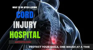 Life After Spinal Cord Injury: Navigating Recovery Beyond the Hospital