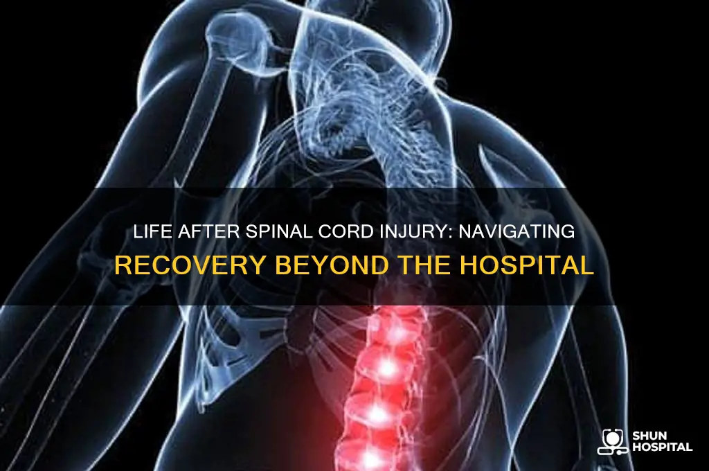 what to do after a spinal cord injury hospital