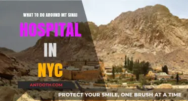 Exploring NYC: Top Attractions Near Mt. Sinai Hospital