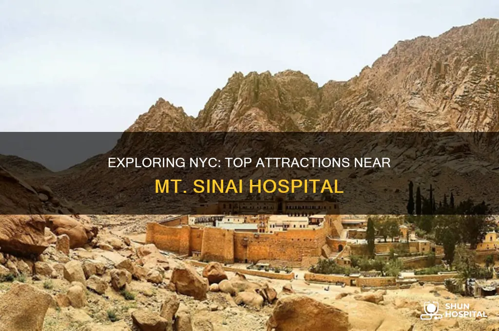 what to do around mt sinai hospital in nyc