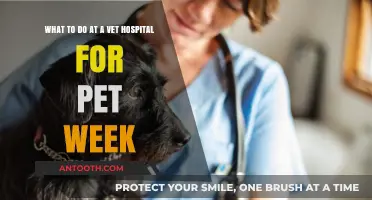 Celebrate Pet Week: Fun Activities at Your Vet Hospital