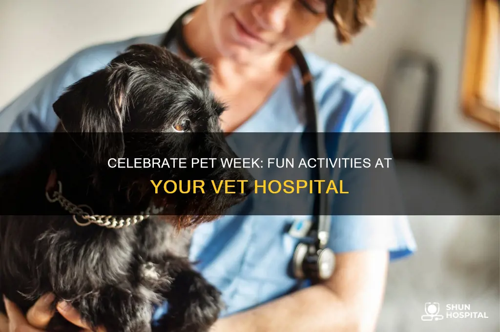 what to do at a vet hospital for pet week