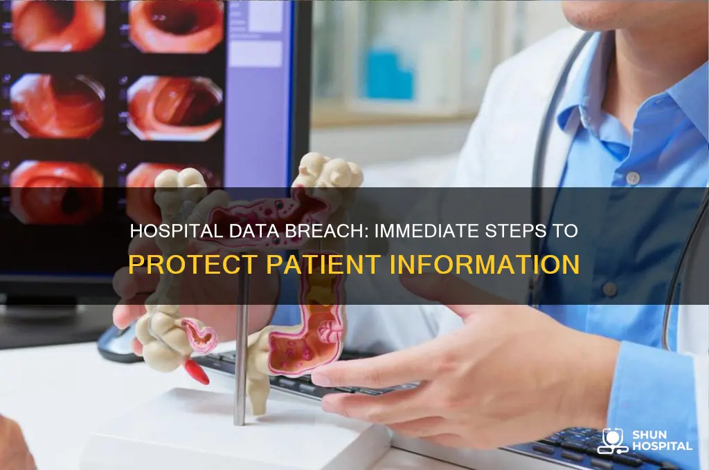what to do if information is leaked in hospital hack