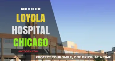 Exploring Chicago: Top Activities Near Loyola Hospital for Visitors