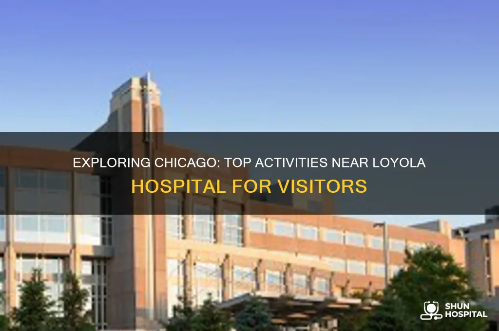 what to do near loyola hospital chicago