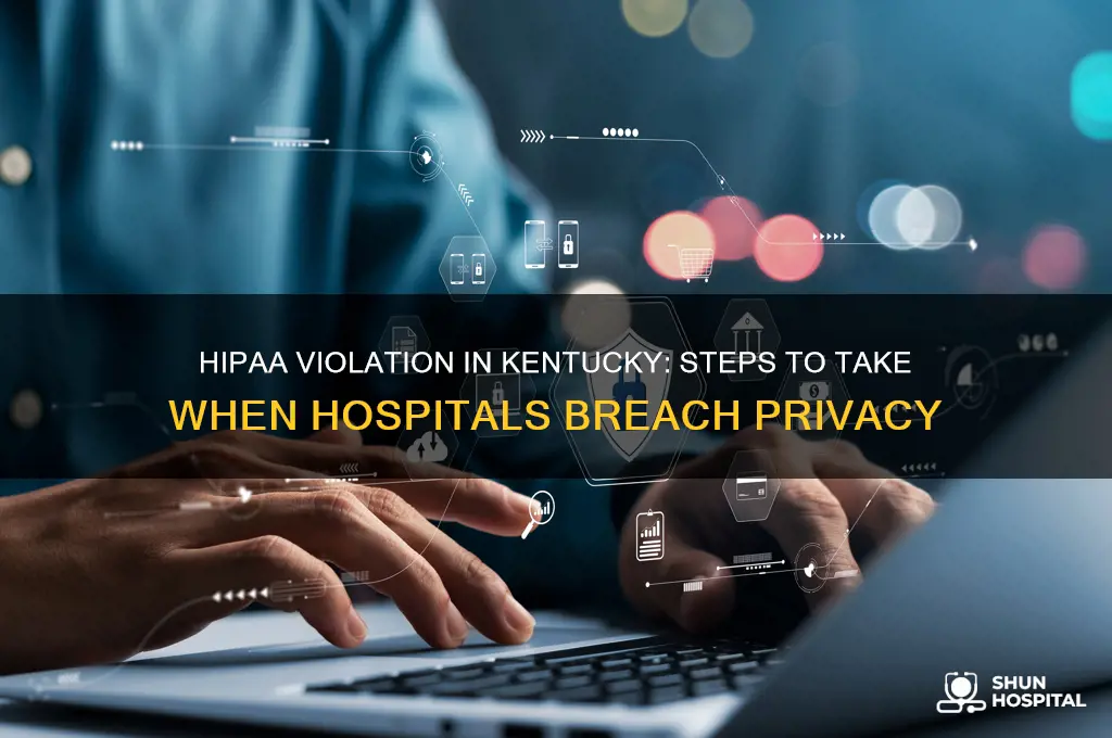 what to do when hospital breaks hipaa act kentucky