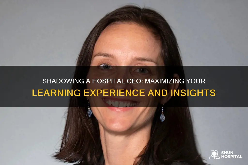 what to do when you are shadowing a hospital ceo