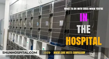 Caring for Your Dog While Hospitalized: Essential Tips and Solutions
