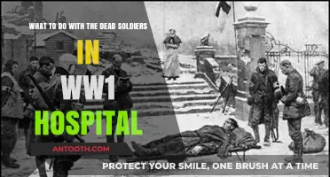 Honoring the Fallen: Managing WW1 Hospital Casualties with Dignity