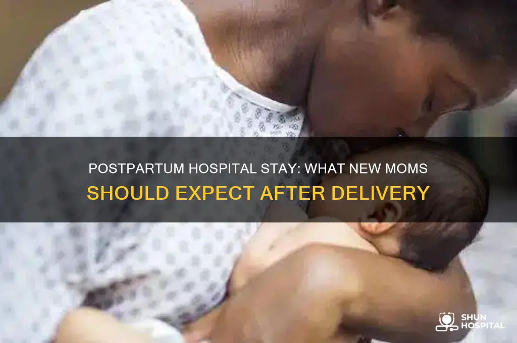 what to expect after giving birth in the hospital