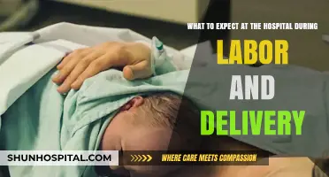 Hospital Labor and Delivery: What to Expect During Childbirth