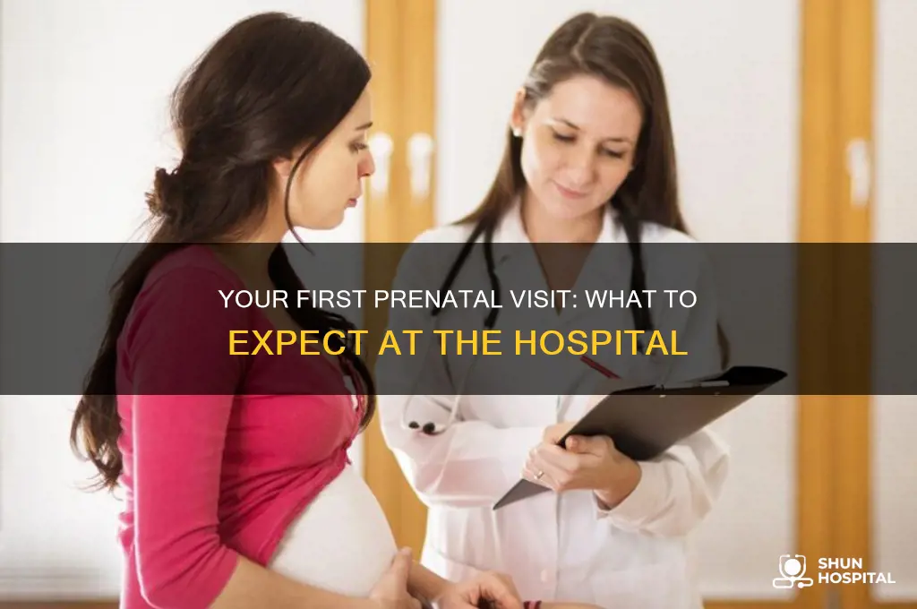 what to expect at your first hospital appointment when pregnant