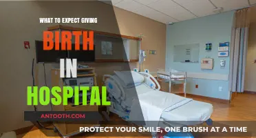 Hospital Birth Guide: What to Expect During Your Delivery Experience