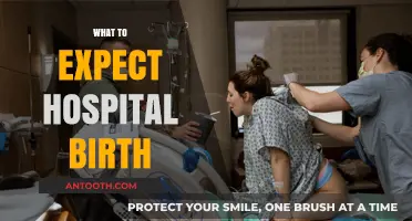 Navigating the Journey: What to Expect During a Hospital Birth