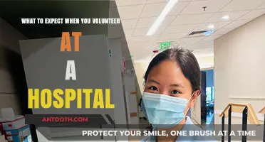 Volunteering at a Hospital: Insights, Roles, and Impactful Experiences