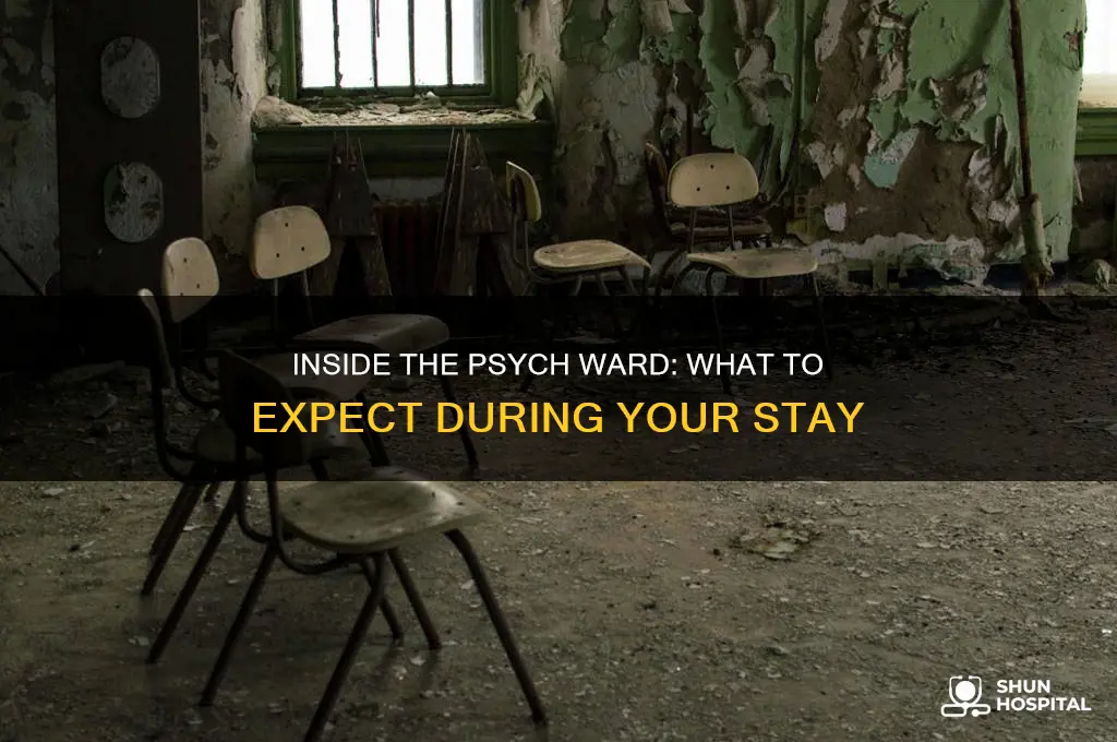 what to expect when you