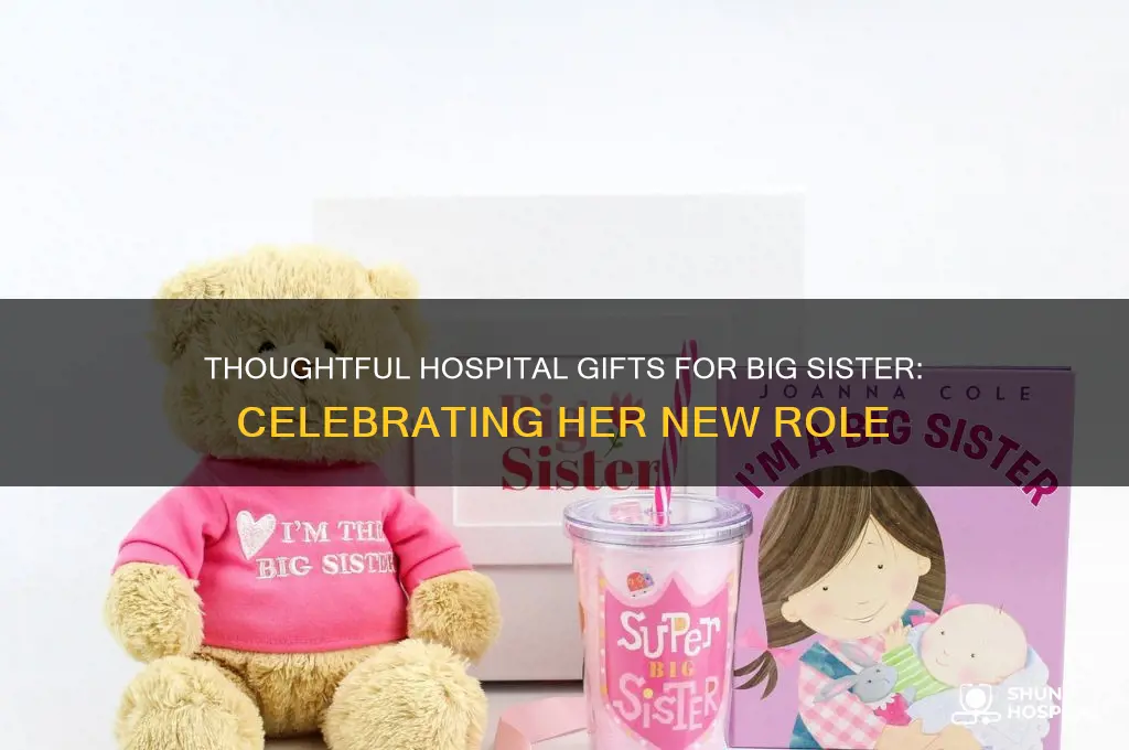 what to give big sister at hospital